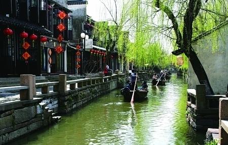寻找神秘黄金
